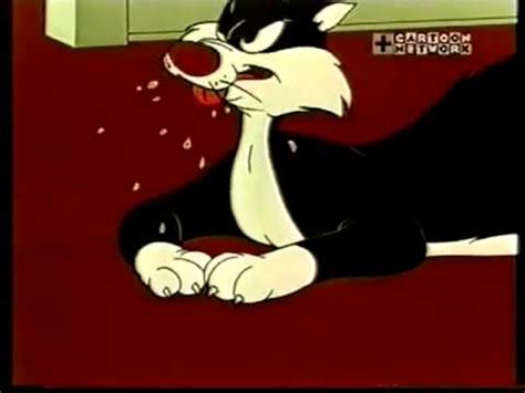 cartoon sylvester the cat|sufferin succotash cartoon character.